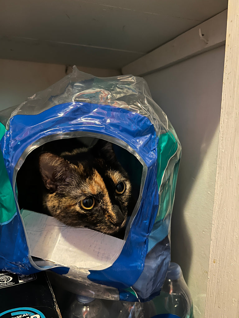 Safe Hiding Places for Laila