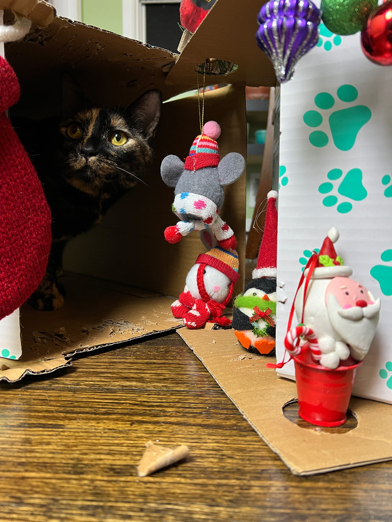 The Holidays Are Coming!