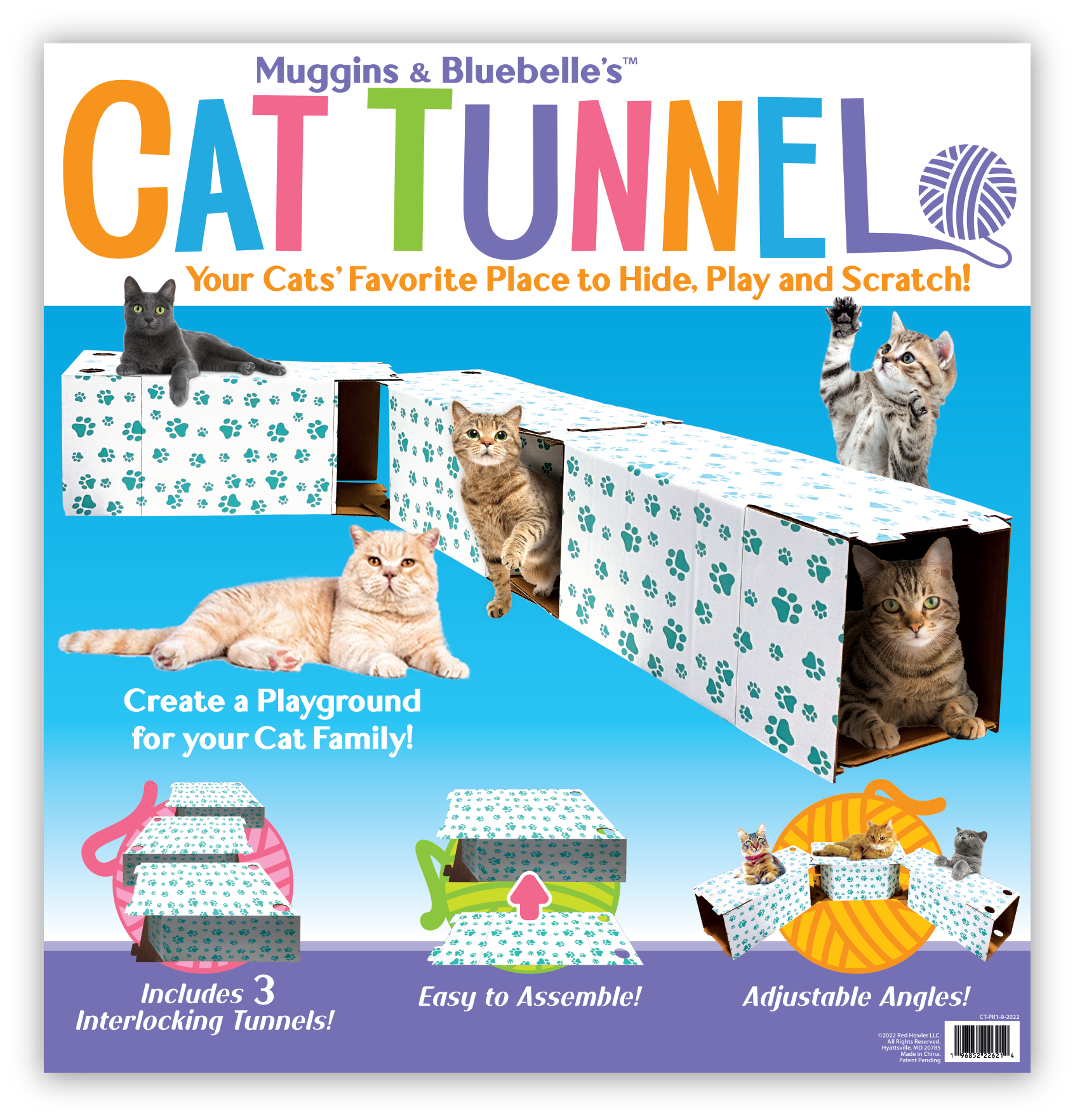 Cat Tunnel